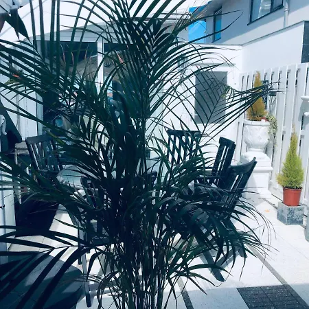 Casa Blanca ゲストハウス